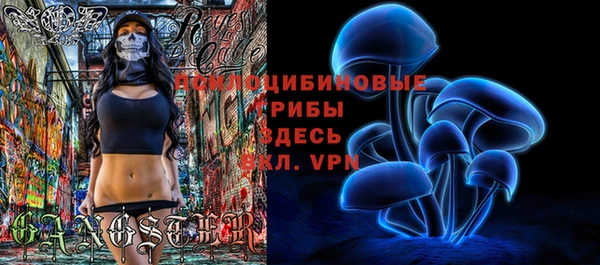 PSILOCYBIN Верхний Тагил