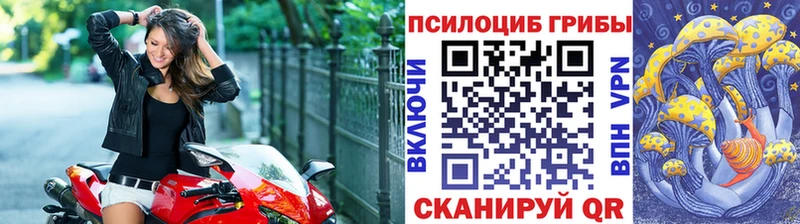 Галлюциногенные грибы GOLDEN TEACHER  Купить закладки  Осинники 